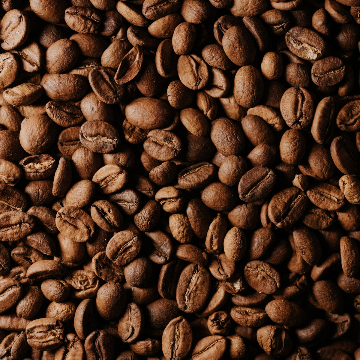 Ethiopie Moka Sidamo – Image 2