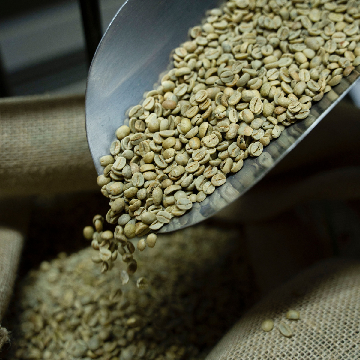 Café Vert Altitude Infusion Nature ou Arômes Bien-Etre (140g) – Image 3