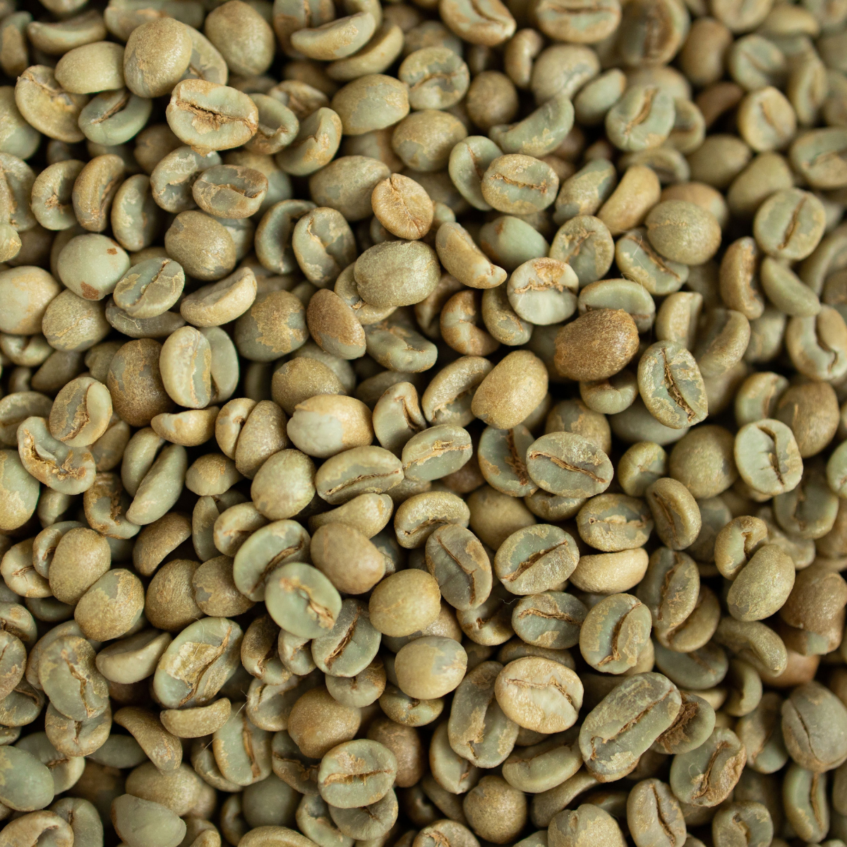 Café Vert Altitude Infusion Nature ou Arômes Bien-Etre (140g) – Image 4